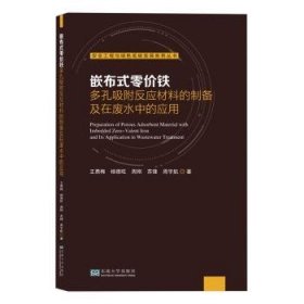 全新正版图书 嵌布式零价铁多孔吸附反应材料的制备及在废水中的应用王勇梅东南大学出版社9787576610659