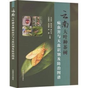 全新正版图书 大叶种茶树病虫害与天敌识别及图谱龙亚芹中国农业出版社9787109312982