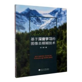 全新正版图书 基于深度学像去模糊技术祁清河海大学出版社9787563083688