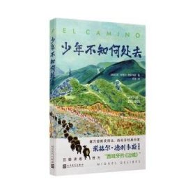 全新正版图书 少年不知何处去米格尔·德利韦斯人民文学出版社有限公司9787020185276