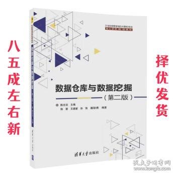 数据仓库与数据挖掘（第二版）/21世纪高等学校计算机专业核心课程规划教材