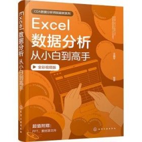 全新正版图书 Excel数据分析从小白到高手王国化学工业出版社9787122442246