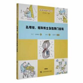 孔明锁、矩阵博士及陷阱门密码