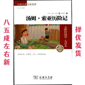 经典名著 大家名译：汤姆·索亚历险记（无障碍阅读 全译本 素质版）