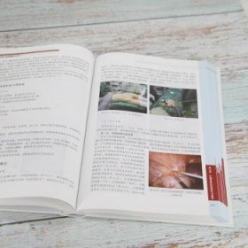 全新正版图书 实用尿流改道与尿路重建手术学李胜文清华大学出版社9787302584506