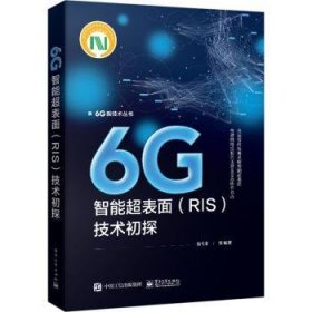 全新正版图书 6G智能超表面(RIS)技术初探袁弋非等电子工业出版社9787121471704