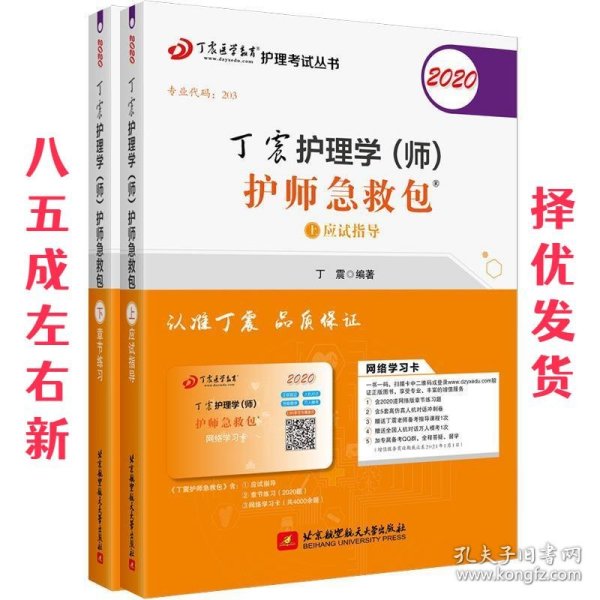 主管护师2020丁震2020护理学（师）护师急救包（套装共2册）