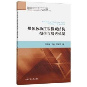 全新正版图书 煤体脉动压裂微观结构损伤与增透机制倪冠华中国矿业大学出版社有限责任公司9787564656706