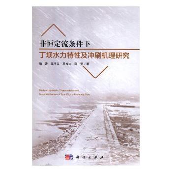 非恒定流条件下丁坝水力特性及冲刷机理研究