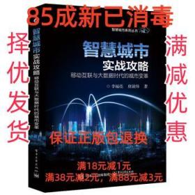 智慧城市实战攻略：移动互联与大数据时代的城市变革