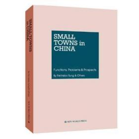 中国的小城镇：功能·问题·展望（英文版）