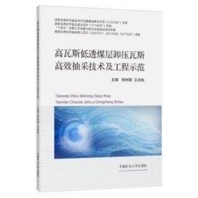 全新正版图书 高瓦斯低透煤层卸压瓦斯抽采技术及工程示范李树刚中国矿业大学出版社有限责任公司9787564656904