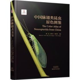 全新正版图书 中国脉翅目昆虫原色图鉴杨定河南科学技术出版社9787572503078