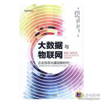 全新正版图书 大数据与物联网:企业信息化建设新时代:enterprise information architecture for a new age罗伯特·斯特科维卡机械工业出版社9787111545415 企业信息化研究