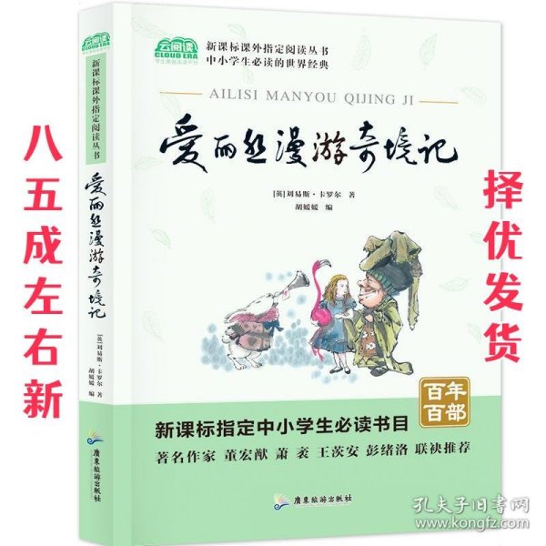 爱丽丝漫游奇境记小学教辅指定版附带考点题型训练阅读课外读物世界经典文学名著