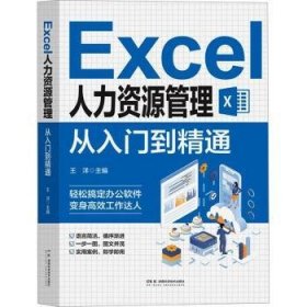 全新正版图书 EXCEL人力资源管理从入门到精通王洋湖南科学技术出版社9787571025632