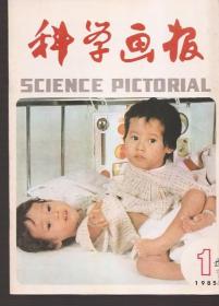 科学画报1985年12册全