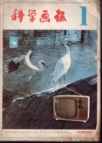 科学画报1982年12册全