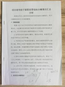 项目领导班子副职经营指标分解情况汇总分析