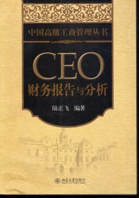 CEO财务报告与分析.中国高级工商管理丛书