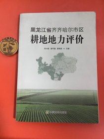 黑龙江省齐齐哈尔市区耕地地力评价