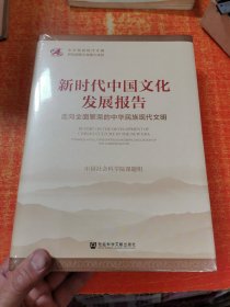 新时代中国文化发展报告  走向全面繁荣的中华民族现代文明 精装