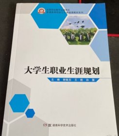 2023年 大学生职业生涯规划 孙慧 王乾 郭毓东 湖南科学技术出版社9787571024185