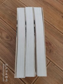 红楼梦与顺治皇帝的爱情故事（上中下三册