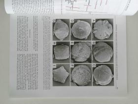 INTERNATIONAL JOURNAL OF PLANT SCIENCES VOL.172 NO.8 2011/10 国际植物科学杂志