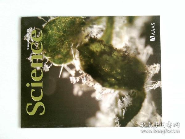 英文科学杂志 Science 2010/12/10 NO.6010  外文原版英国著名杂志