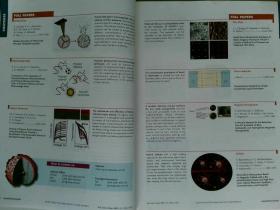 Advanced Functional Materials 2012/04/22 先进功能材料学术期刊  VOL.21 NO.8