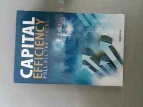 CAPITAL EFFICIENCY PULL ALL THE LEVERS 杠杆资本效率资本支出投资回报率 原版图书