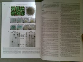 Plant Science 02/2014 植物科学植物学学术论文原版过期杂志现货 Elsevier