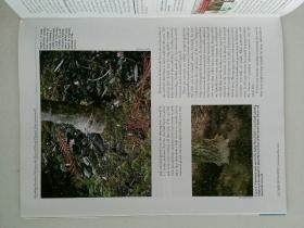 ARBORIST.NEWS 2014/04 树艺家 外文原版期刊杂志 International Society of Arboriculture  国际树木栽培协会