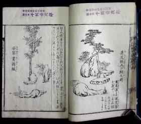 新撰庭作传【日本明治二十七年（1894）圭文堂柏原梓。刊刻年代相当于清光绪二十年。刊刻精美。全图本，日本古典园林庭院艺术。】{补图勿拍}