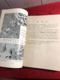 中华医学杂志 /1974年第54卷 第1-12期 合订本