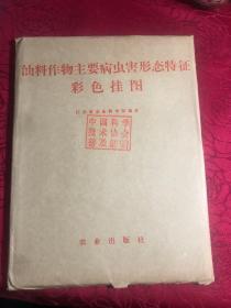 油料作物主要病虫害形态特征彩色挂图（全7幅）