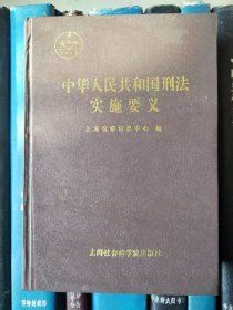 中华人民共和国刑法实施要义