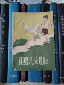 和鸟儿交朋友