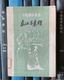 袁江与袁耀（中国画家丛书）