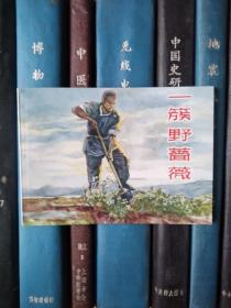 中国乡村故事：一簇野蔷薇（上海连环画·精品百种）锁线装