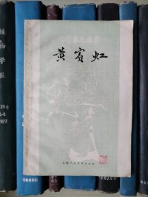 黄宾虹（中国画家丛书）