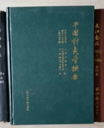 中国针灸学概要 日文版