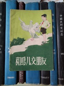 和鸟儿交朋友