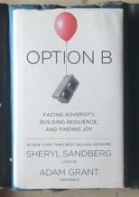 Option B: Facing Adversity, Building Resilience, and Finding Joy