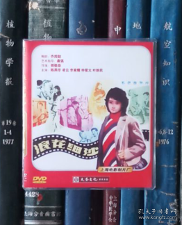 DVD-浪花细沙（D5）