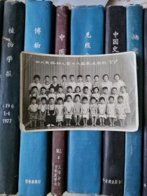 老照片-1978年上海市四川南路幼儿园七八届毕业留影