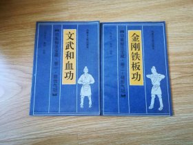 功家秘法宝藏 卷一 软性气功  文武和血功+卷二硬形气功 金刚铁板功