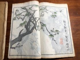 （有补图2）多色套印：清代刻本《芥子园画传二集》一函四册全（第一册序言缺前三页）梅谱 竹谱 兰谱 菊谱 青在堂画学浅说 国画水墨画绘画艺术鉴赏学习启蒙