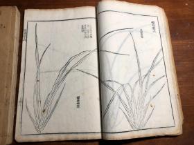 （有补图1）多色套印：清代刻本《芥子园画传二集》一函四册全（第一册序言缺前三页）梅谱 竹谱 兰谱 菊谱 青在堂画学浅说 国画水墨画绘画艺术鉴赏学习启蒙